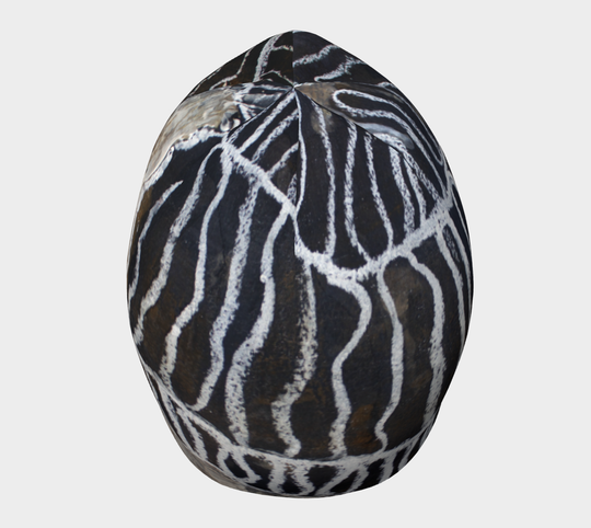 Rayures organiques Beanie